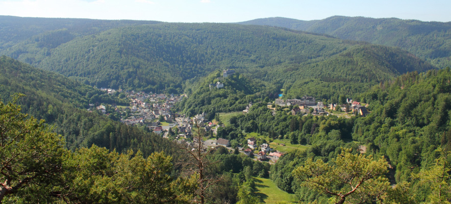  Blick vom Trippstein 